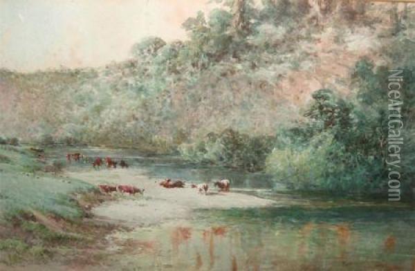 Cattle Watering In A River Oil Painting - Edwin F. Cole