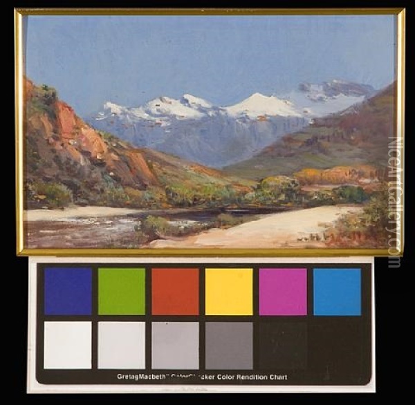 Paarl Valley With Snow-capped Mountains Oil Painting - Pieter Hugo Naude