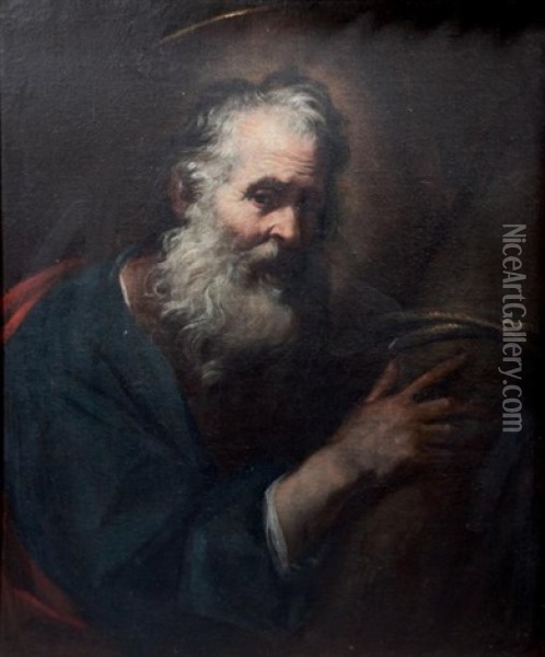 Saint Andre Oil Painting - Girolamo Troppa