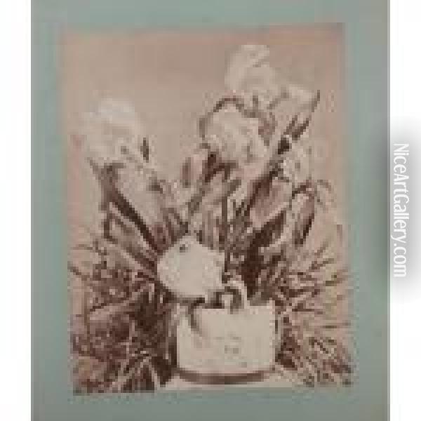 Irises Oil Painting - Louis Comfort Tiffany