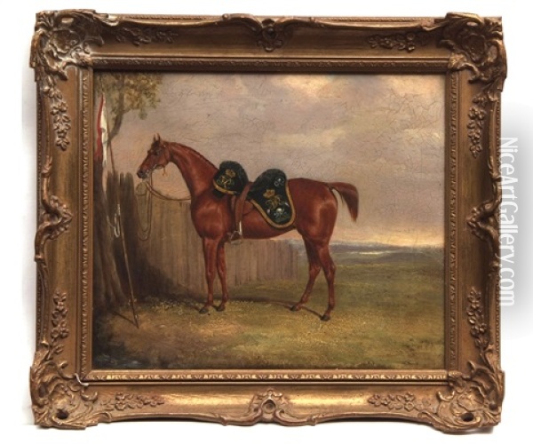 A Royal Horse Oil Painting - James W. Bretland