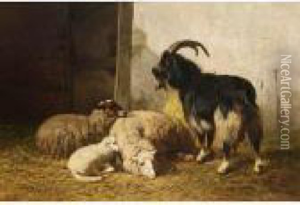 Sheep And A Goat In A Stable Oil Painting - Louis Marie Dominique Romain Robbe