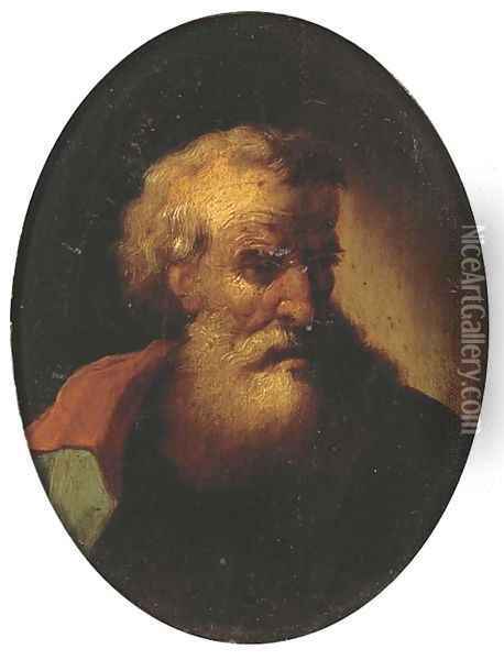 A bearded man, bust-length, in a red cloak Oil Painting - Christian Wilhelm Ernst Dietrich
