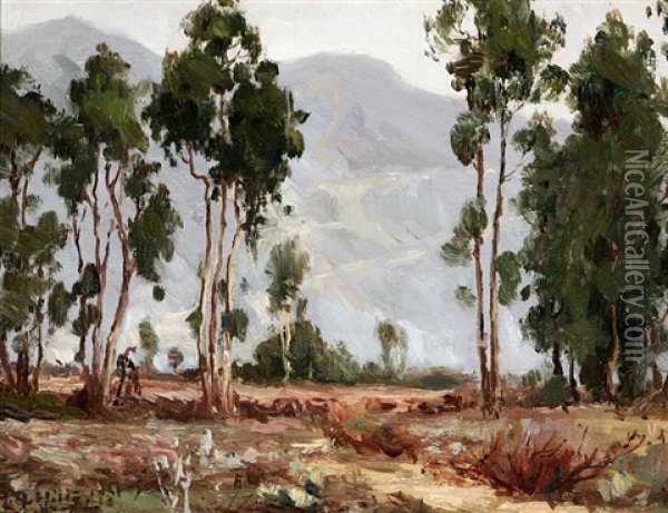Eucalyptus In San Gabriel Foothill Landscape Oil Painting - Anna Althea Hills