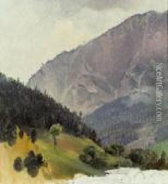 Landschaftsskizze Oil Painting - Friedrich Gauermann