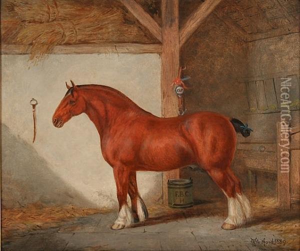 Suffolk Punch In A Stable Oil Painting - Richard Whitford