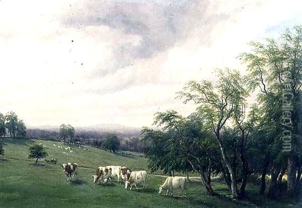 Cattle Grazing in Parkland Oil Painting - Thomas Baker