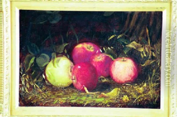 Still Life With Apples Oil Painting - Otto Sommer