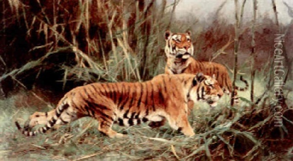 Tigers In Elephant Grass Oil Painting - Wilhelm Friedrich Kuhnert
