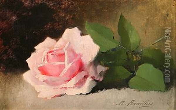 A Pink Rose On A Table Oil Painting - Marie-Lucie Cornelius