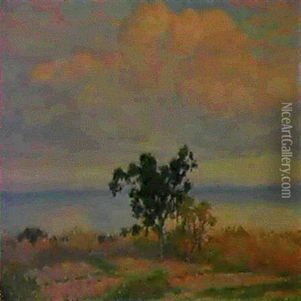 La Rade De Bormes (nuages Rouges) Oil Painting - Theo van Rysselberghe