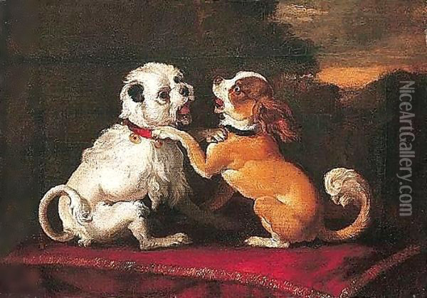 Two Dogs Playing On A Red Cushion Oil Painting - Abraham Danielsz Hondius