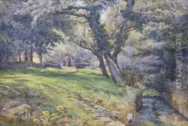 A Country Garden, Summer Oil Painting - Helen O'Hara