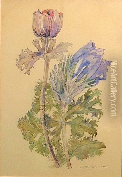 Flower Study Oil Painting - Charles Rennie Mackintosh