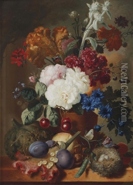 An Exuberant Flower Still Life With Roses, An Orange And Red Velvet Flower And Various Other Flowers In A Vase, Cherries, Plumps, Butterflies And A Nest With Eggs, All On A Marble Ledge Oil Painting - Georgius Jacobus Johannes van Os