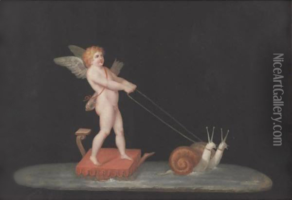 Cupid Drawn By Snails Oil Painting - Michelangelo Maestri