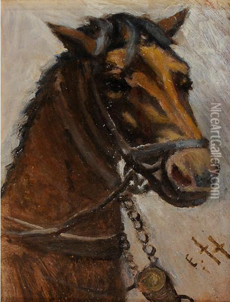Testa Di Cavallo Oil Painting - Ernesto Croci