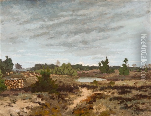 Paysage De Lande A Bruyere Oil Painting - Adriaan Josef Heymans