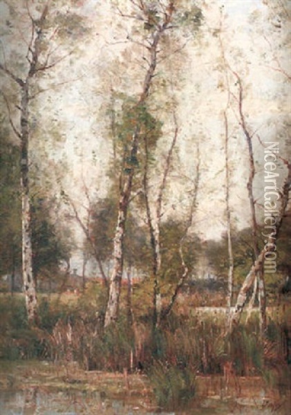 Sommarlandskap Med Bjorkdunge Vid A Oil Painting - Louis Aime Japy