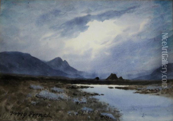 Bog Landscape At Twilight Oil Painting - William Percy French