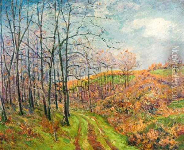 Chemin Sous Les Bois Oil Painting - Maxime Maufra