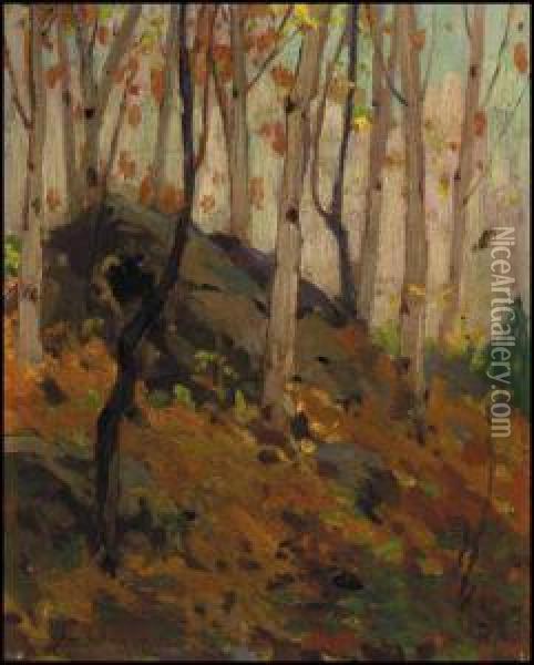 Birches, Canoe Lake, Algonquin Park Oil Painting - John William Beatty