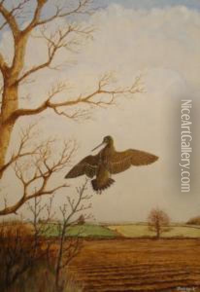 Fish - Hawk Oil Painting - David Knightley Wolfe-Murray