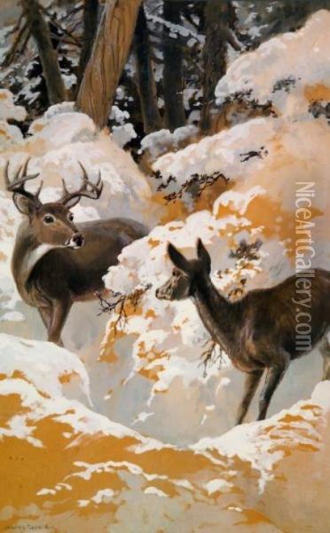 Deer In A Winter Forest Oil Painting - Charles George Copeland