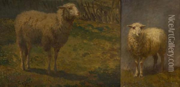 Mouton Oil Painting - Edouard Woutermaertens
