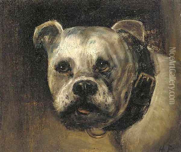 A bulldog Oil Painting - Henry Maurice Page