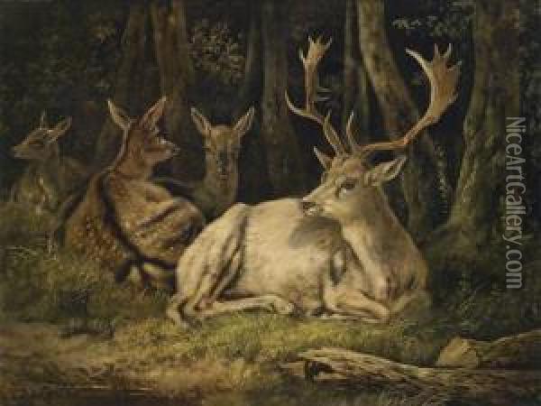 Fallow Deer Oil Painting - August Schleich