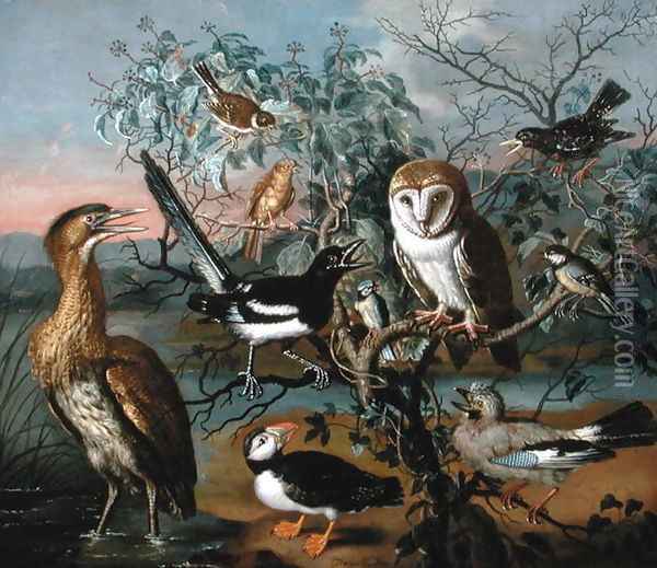 A Concert of Birds a Puffin Jay Great Tit Bittern Starling Magpie Yellowhammer Red Bunting and Barn Owl Oil Painting - Trajan Hughes