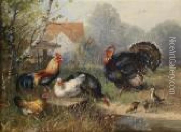 Chickens And A Turkey Oil Painting - Julius Scheurer