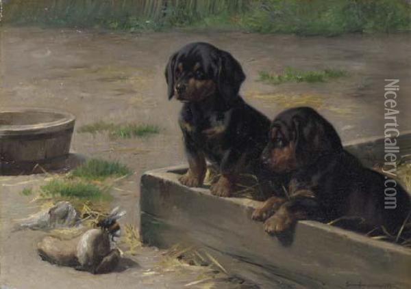 Dachshund Puppies With A Bumblebee Oil Painting - Simon Simonson