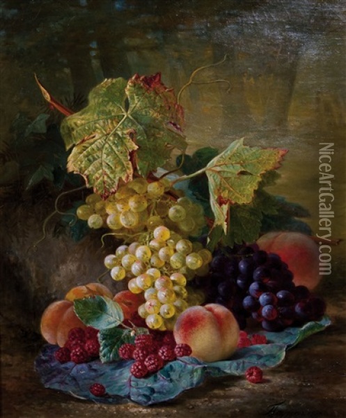 Fruchtestillleben Mit Trauben, Himbeeren Und Pfirsichen Oil Painting - Francois Joseph Huygens