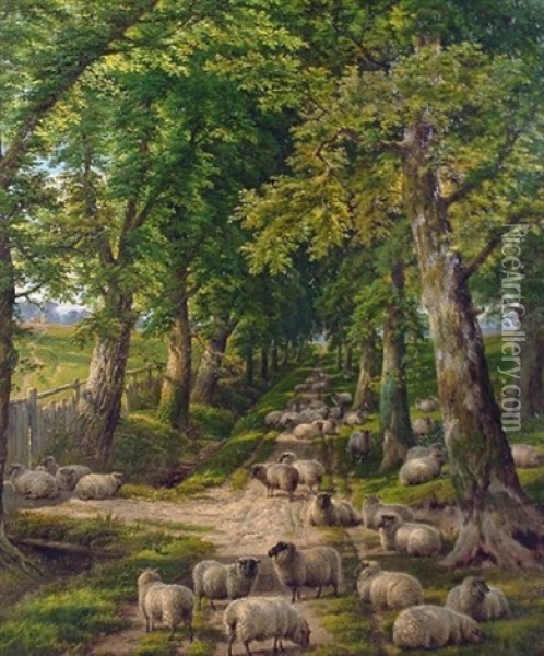 Sheep Resting On A Shady Path Oil Painting - Charles Jones