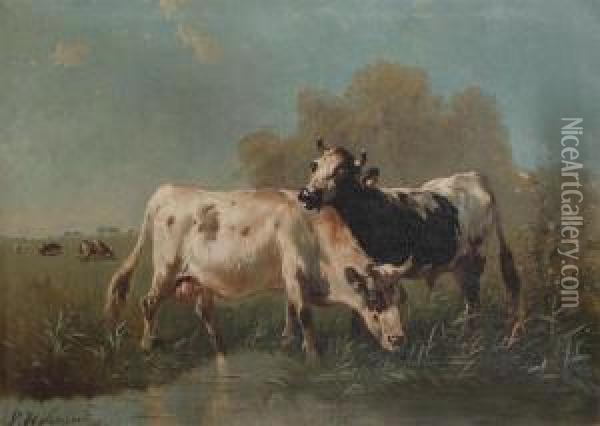 Cows In The Meadow Near The Water Oil Painting - Paul Henry Schouten