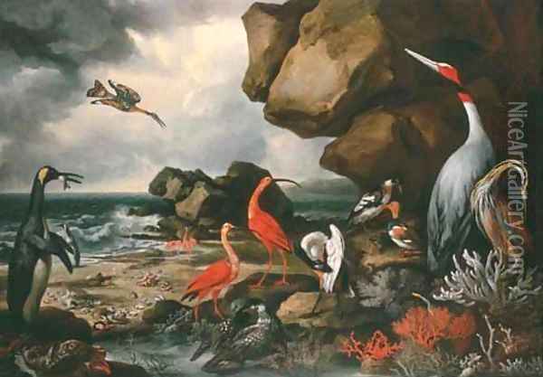 A penguin, a pair of flamingoes and other exotic birds, shells and coral on the shoreline Oil Painting - Philip Reinagle