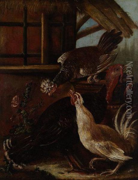 Aves De Corral Oil Painting - Giovanni Agostino Cassana