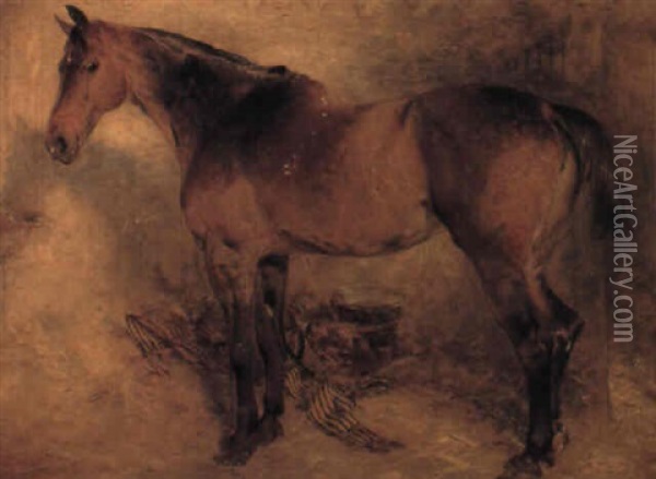 Horse In A Loose Box Oil Painting - William Huggins