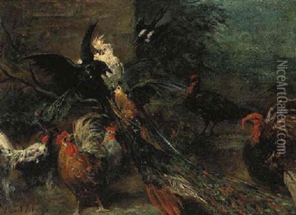 A Peacock, Parrot, Cockatoo, Roosters, Turkeys And A Crow In A Landscape Oil Painting - Paul Friedrich Meyerheim