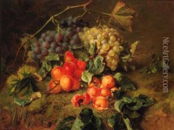 A Still Life With Grapes And Apricots Oil Painting - Adriana-Johanna Haanen