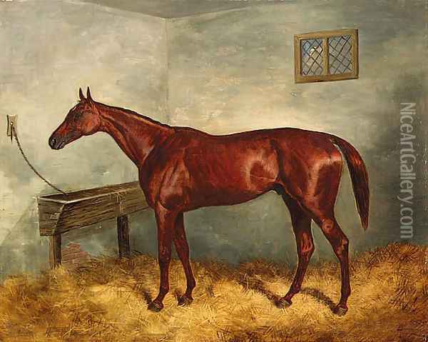 Thunderbolt, a chestnut racehorse in a stable Oil Painting - Harry Hall