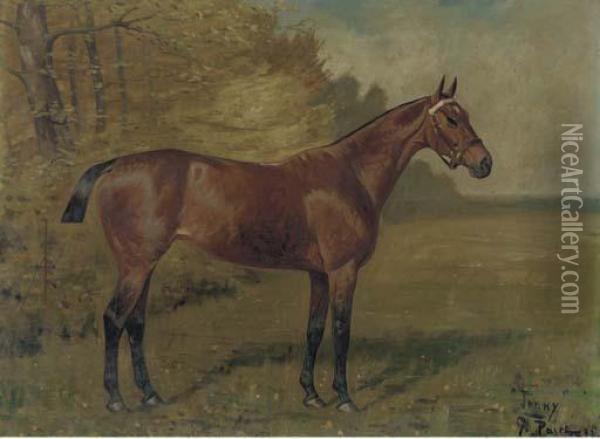 Jenny' A Bay Hunter In A Landscape Oil Painting - George Paice