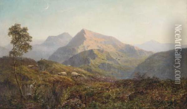Sheep In A Highland Landscape, Evening Oil Painting - Alfred de Breanski