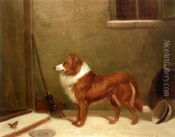 Not Even A Crumb! A Border Collie And A Robin Left Out In The Snow Oil Painting - Colin Graeme