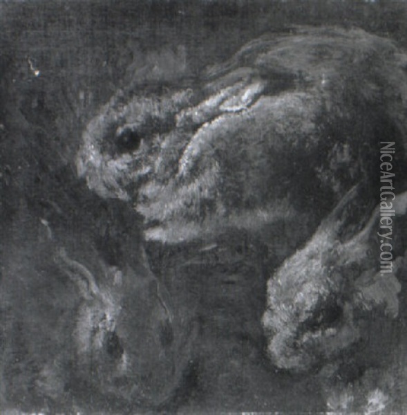 A Study Of Rabbits Oil Painting - Gaston La Touche