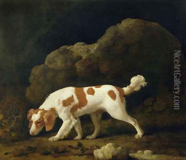 A Spaniel Oil Painting - George Stubbs