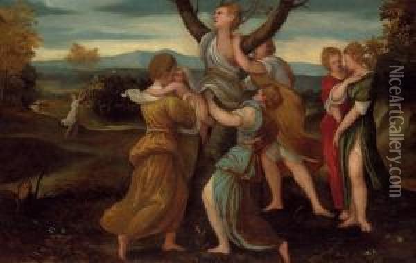 The Birth Of Adonis Oil Painting - Bonifacio Veronese (Pitati)