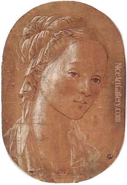 Head of a Woman Oil Painting - Filippino Lippi